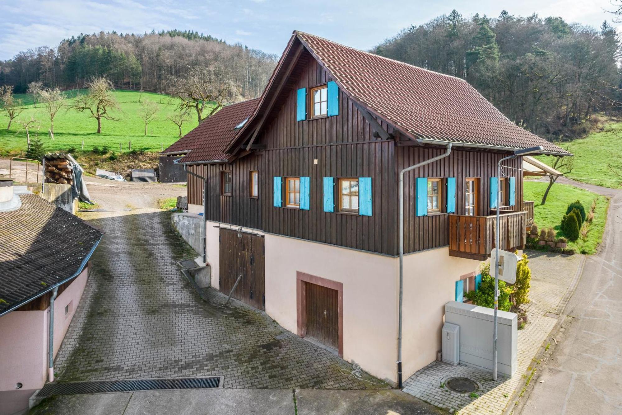 Appartement Ziegelhof à Schuttertal Extérieur photo